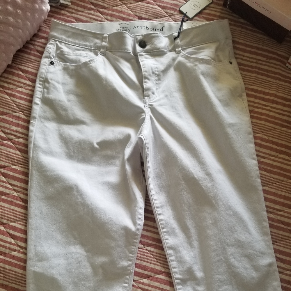 WESTBOUND CAPRI sz16 NWT